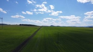 Применение Экос гум. Обработка поля с овсом после химпрополки. Таштып 28 июня 2022