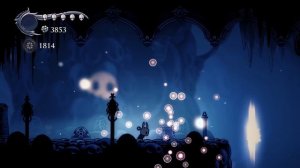 Hollow Knight: Revek Parry Challenge (Hitless)