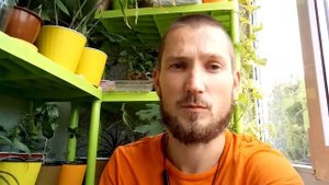 Полив цитрусов. Как правильно поливать различные цитрусовые растения