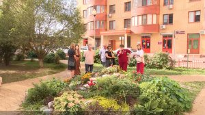 Жители Реутова разбивают во дворах цветники и устраивают чаепития 19.09.2023