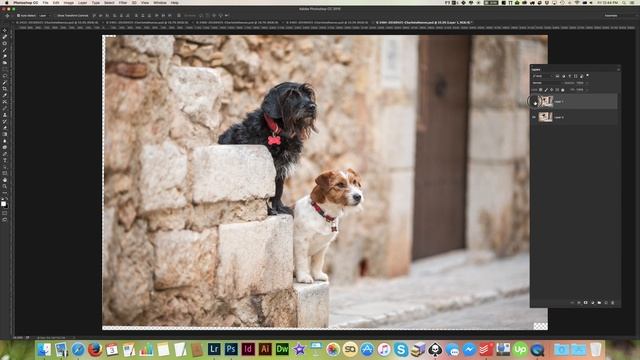 Head Swap using Auto Align Layers in Photoshop - Pet Photography Editing Tutorial смотреть онлайн