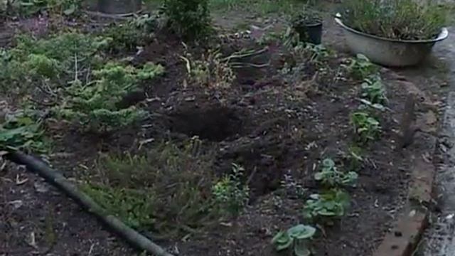 Дачные советы 29.05.2014 смотреть онлайн