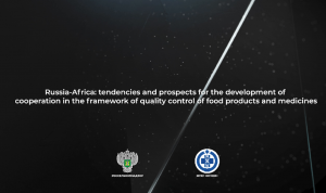 6/23 Russia-Africa: tendencies and prospects for the development of cooperation