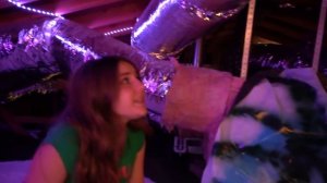 I Built a SECRET Hidden Gaming Room in my House!! ??| Piper Rockelle