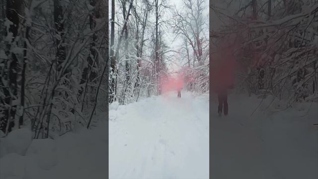 В Уральском зимнем лесу