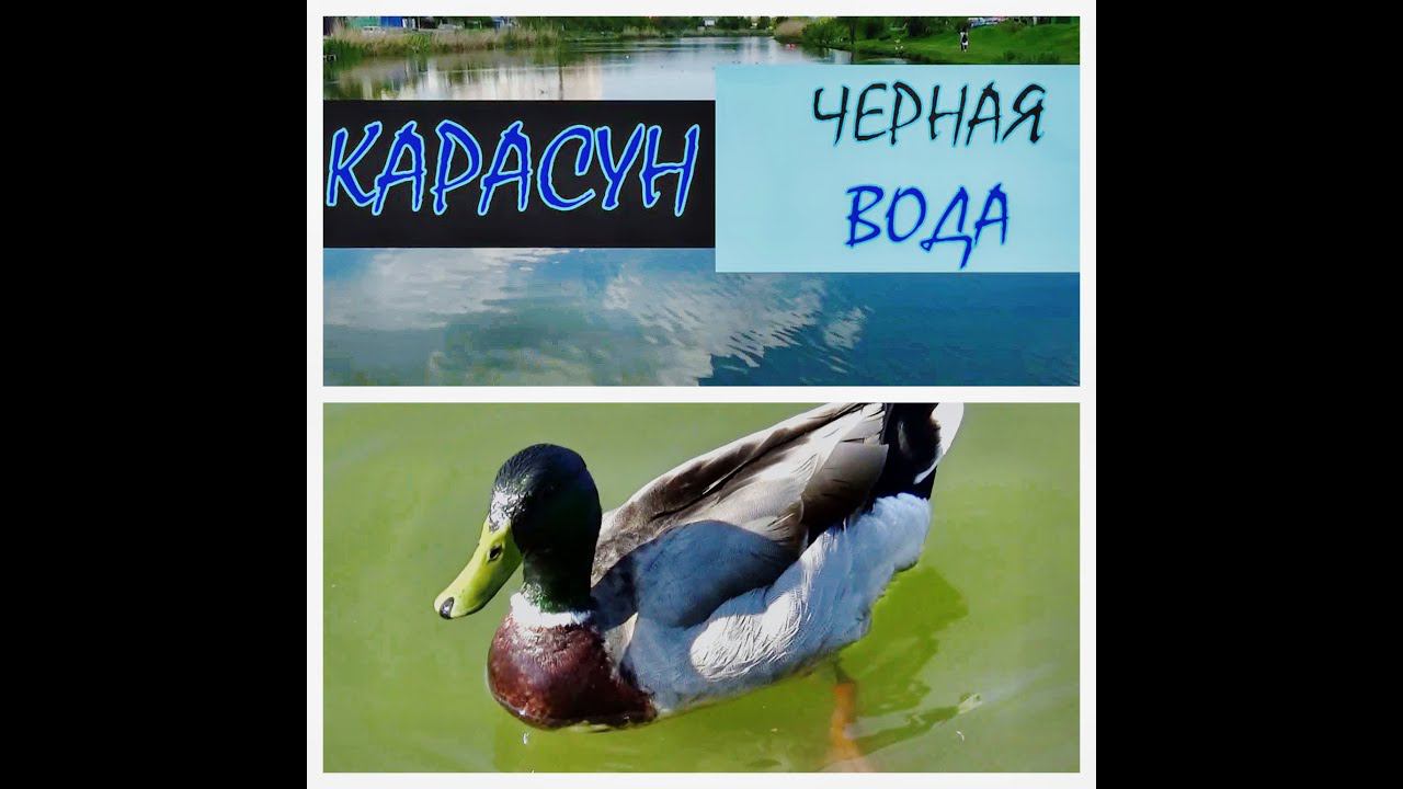 КАРАСУН - ЧЁРНАЯ ВОДА. Река, которой больше нет. Путешествуем рядом с домом!!! Краснодар.