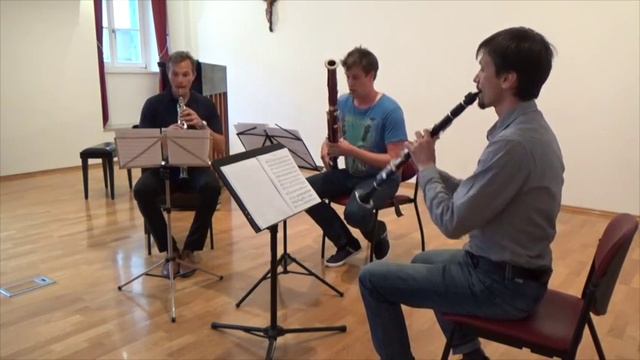 W. A. Mozart: Divertimento za oboo, klarinet in fagot št. 1 v C-duru смотреть онлайн