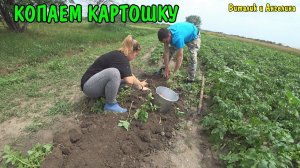 КОПАЕМ КАРТОШКУ / ЧТО ВЫРОСЛО У НАС НА ОГОРОДЕ