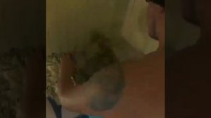 УСЛУГИ БАНЩИКА НА ВЫЕЗД.