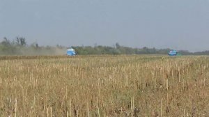 Комбайн СЛАВУТИЧ  на уборке подсолнечника.
