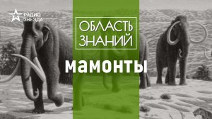 Находки Ямала: что случилось с мамонтёнком Любой? Лекция антрополога Елены Судариковой