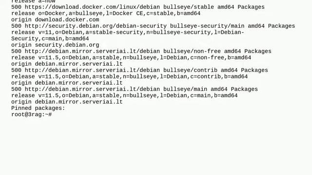Stuck at installing Google Chrome on a remote Debian 11 bullseye using SSH смотреть онлайн