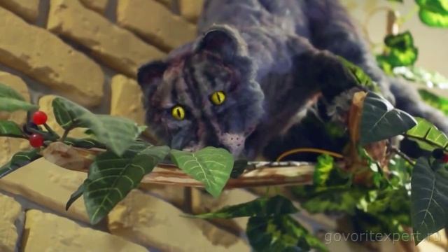 Черный Кофе. Все о Черном Кофе в Музее Кофе в Санкт-Петербурге. Говорит ЭКСПЕРТ смотреть онлайн