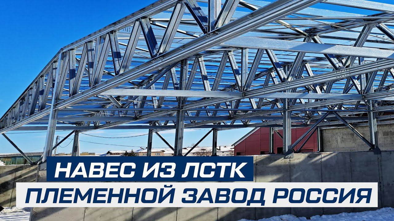 НАВЕС ИЗ ЛСТК ДЛЯ ПЛЕМЕННОГО ЗАВОДА «РОССИЯ»