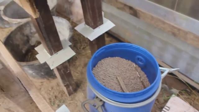 Кроликовод, кролиководство, кролики разведение смотреть онлайн