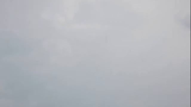 Выпуск стрижа смотреть онлайн