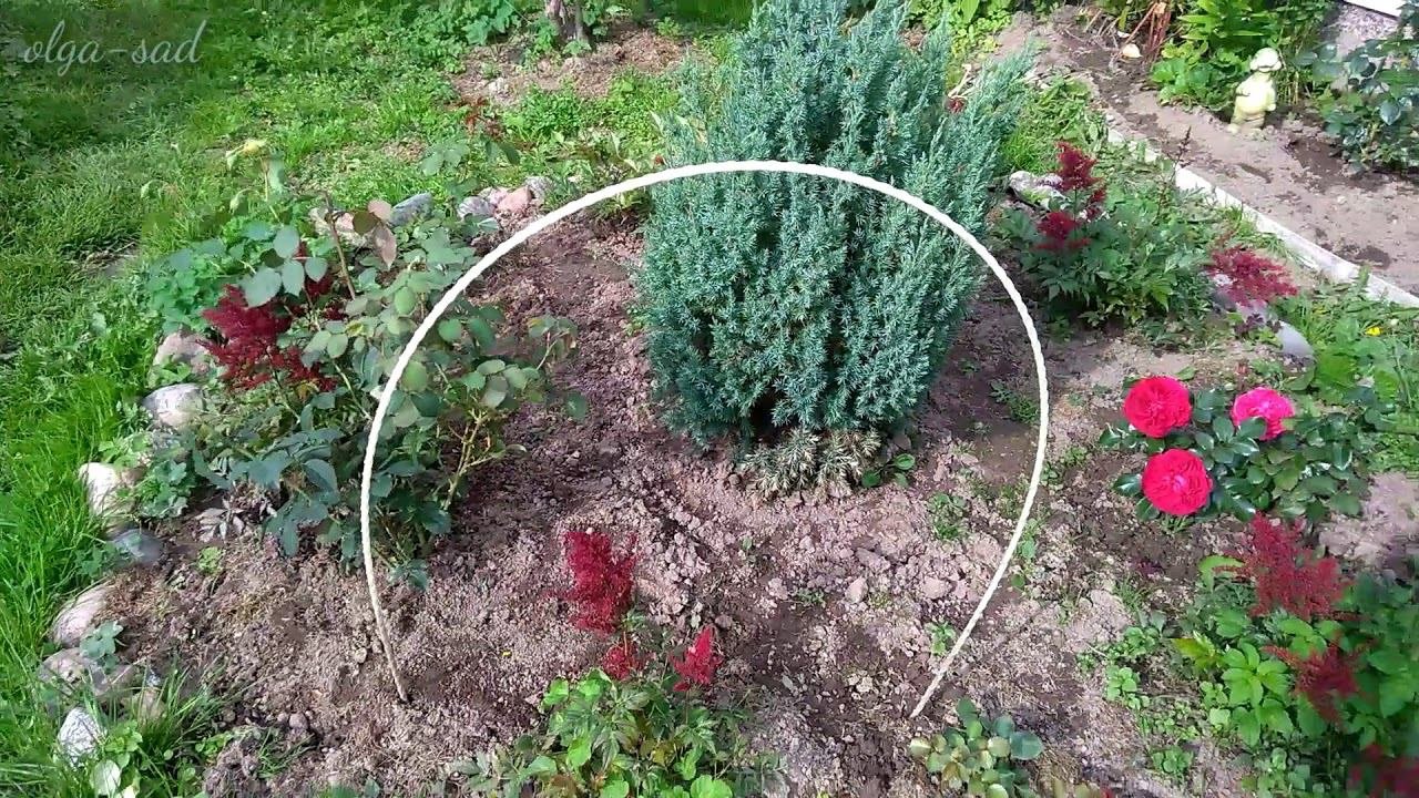 Прочные садовые дуги под укрытие для роз.Из чего сделать.