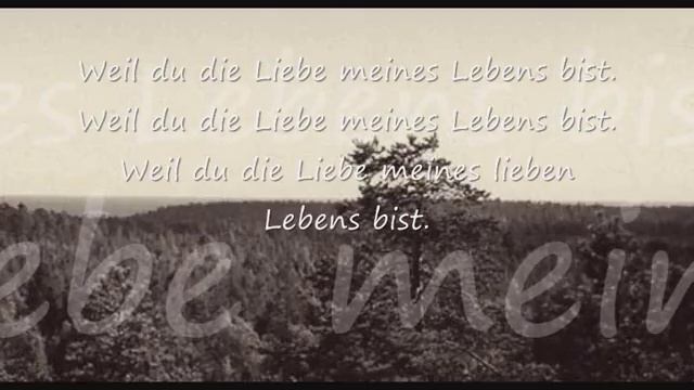 Philipp Poisel - Liebe meines Lebens (+Text) смотреть онлайн