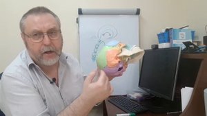 Ребенок сосет палец. Почему возникает, и что делать.