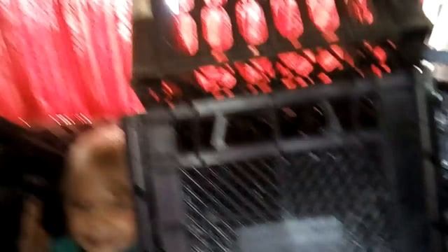 ЗАГОТОВКА ДРОВ//ПРИВЕЗЛИ ЯЩИКИ//деревенские будни смотреть онлайн