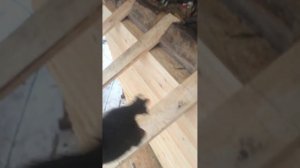 Изготовление козырька франтона крыши, в деревянном доме из бруса.