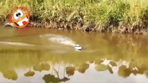 Рыбачить трактором, ловить рыбу игрушечным катером!