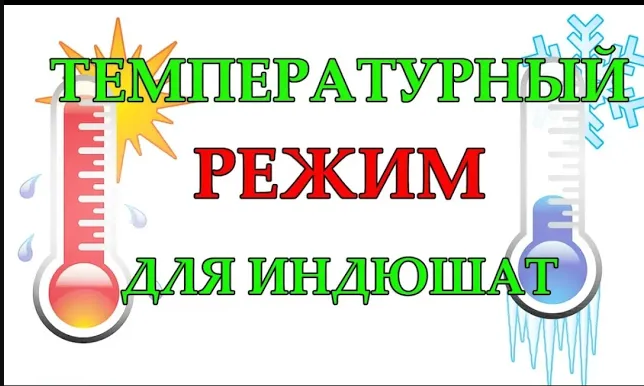 ТЕМПЕРАТУРНЫЙ РЕЖИМ ДЛЯ ИНДЮШАТ. Содержание и выращивание индюшат.Купить индюшат.