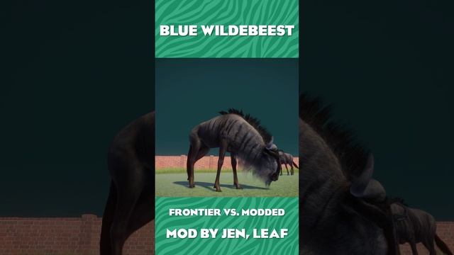 Blue Wildebeest Mod vs. Frontier Comparison! | Planet Zoo Grasslands Animal Pack