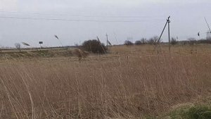 рыбалка на Кубани