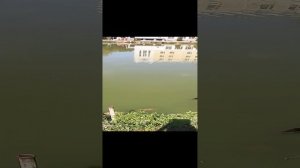 VID_20240713_111139.mp4