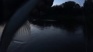 МЕЛЬЧЕ ВОБЛЕР - КРУПНЕЕ СУДАК! Ловля ночного судака на воблеры в черте города