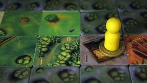 Как играть в настольную игру  'Шакал'