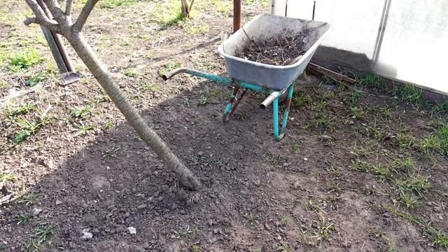 1 ложку на ведро воды и земля как новая! Пролейте этим землю для обильного урожая всего смотреть онлайн