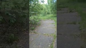 Заброшенный детский лагерь Юный зиловец