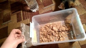Как приготовить кокосовый субстрат для ваших питомцев