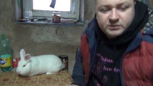 Ушной клещ! Лечение и профилактика кроликов от ушного клеща и глистов! Как делать прививку кроликам