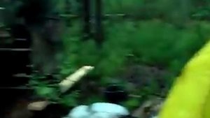 дробилка для кедровой шишки