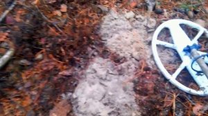 Первый коп с Garrett Euro Ace 350