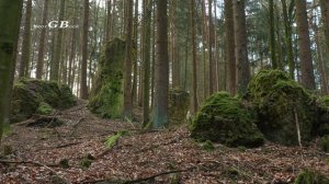 Panasonic HC-X1500 4K Sample Footage