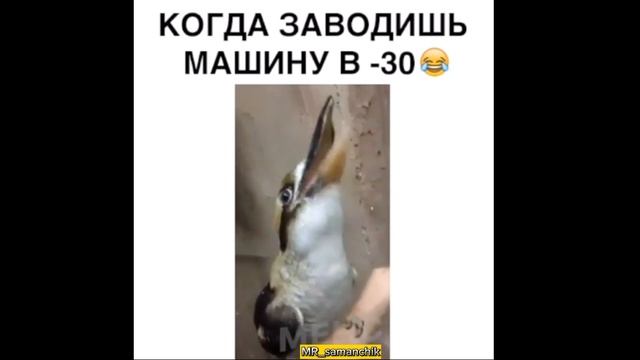 Сказочный Парень ?