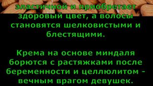 Почему нужно есть миндаль?  Польза и вред.