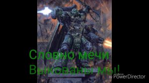 HMKids - Salamanders