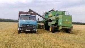 Уборочная 2021 в Республике Мордовия. Маз 500 самосвал на вывозе. Яровой овёс, Дон 1500б. Живой зву