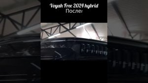 #VoyahFree #hybrid #защитакартера