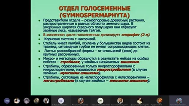 Голосеменные | Ботаника смотреть онлайн