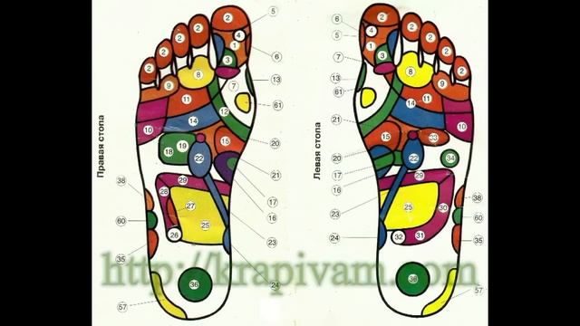 Крапивные стельки ручной работы