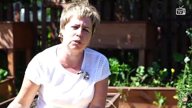 Вирус огуречный мозаики ? Способ лечения огурцов ? сад и огород с Хитсад смотреть онлайн