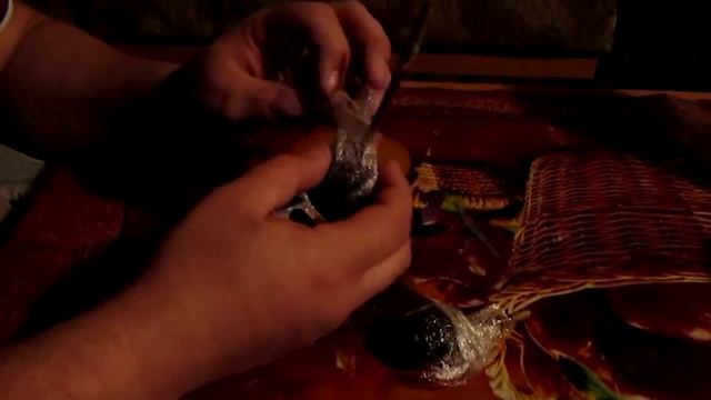 Однопочковый черенок,укоринение в торфяной таблетке.