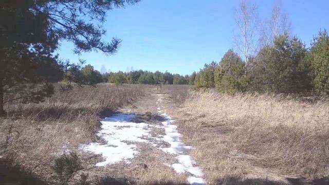 Тест Порошок А1 на 28 г дроби смотреть онлайн