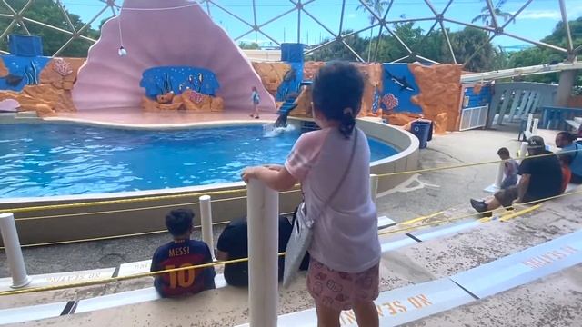 Майами Океанариум и Вау Кейси часть 2 | Miami Seaquarium and Wow Casey Part 2 смотреть онлайн